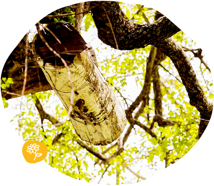 wp-content/uploads/sites/2/2021/01/reviews_02.png