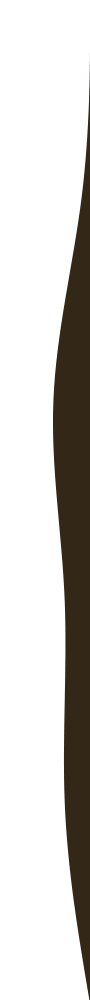 ../wp-content/uploads/sites/2/2021/03/black-detail-right.png