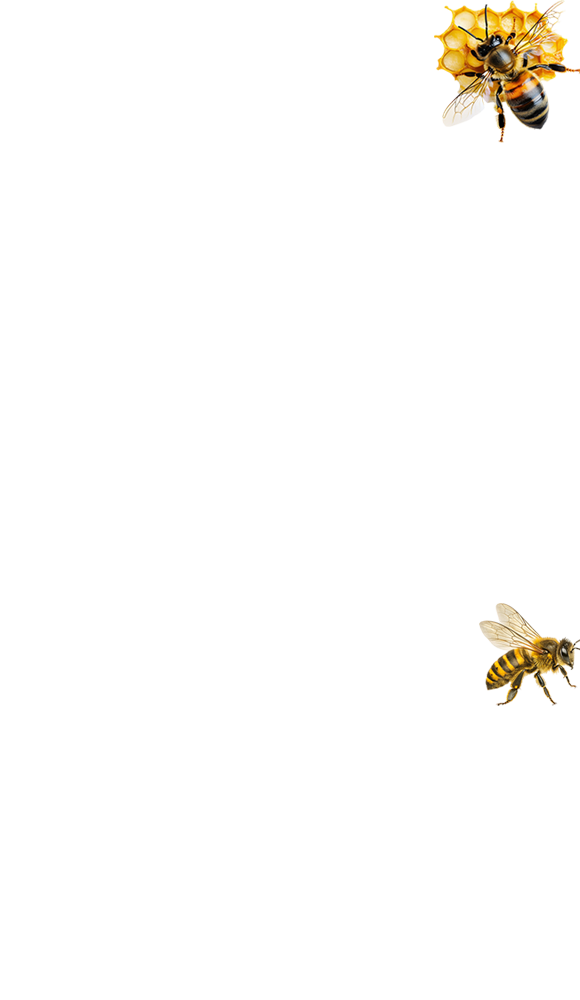wp-content/uploads/sites/2/2025/06/floating_fries_01.png