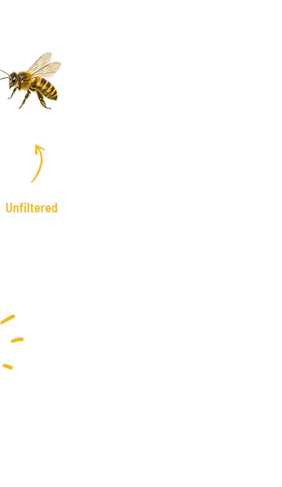 wp-content/uploads/sites/2/2025/06/floating_fries_02.png